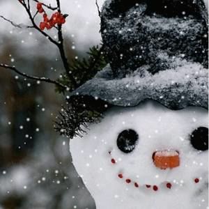 Meet your Posher, Jacqueline